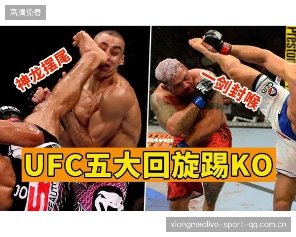 UFC回旋踢击中锁定胜利
